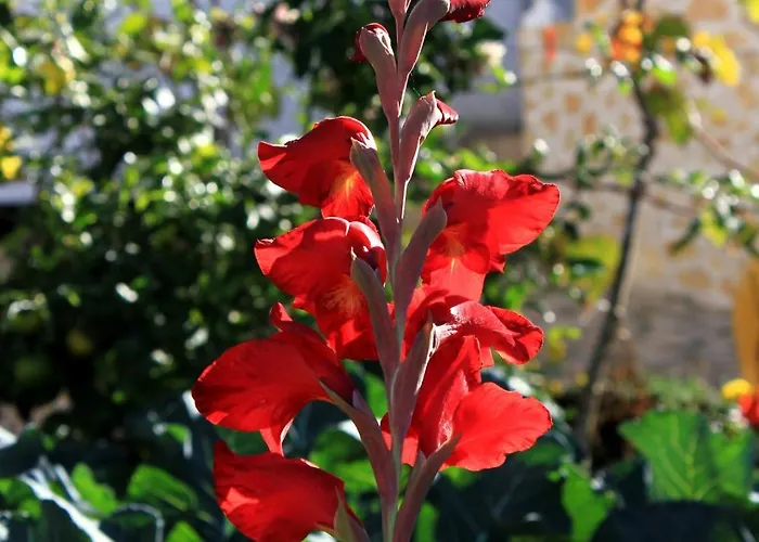 Apartman With Parking Space Mastrinka, Ciovo - 9428 *