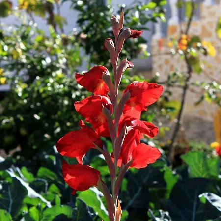 Apartament With Parking Space Mastrinka, Ciovo - 9428 *